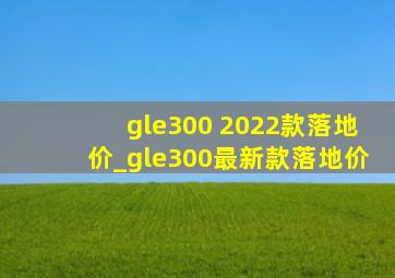 gle300 2022款落地价_gle300最新款落地价
